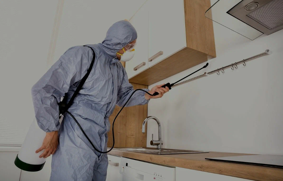 Milpitas pest managment